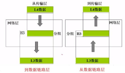 深入了解TCP/IP協(xié)議與計算機網(wǎng)絡(luò)體系結(jié)構(gòu)